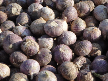 四川省雅安市汉源县农产品经销